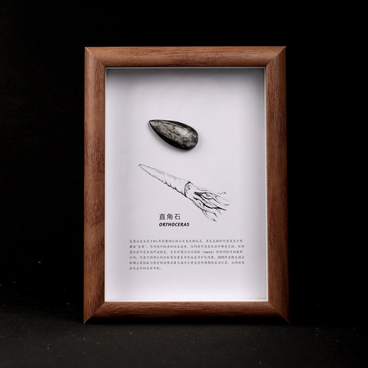 Right-Angle Stone Fossil Picture Frame